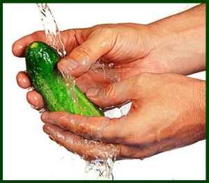 washing cucumbers